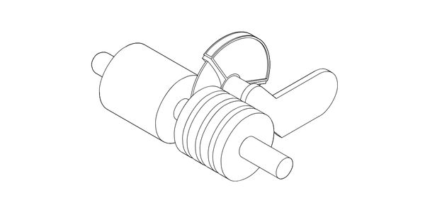 BNT Illustration